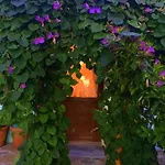 Herakles B&B *