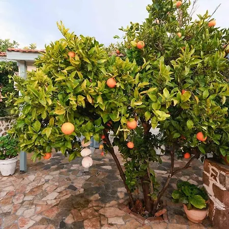 Herakles Butik Oda ve Kahvaltı Çeşme