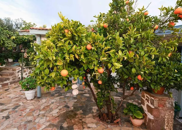 Herakles Alojamento de Acomodação e Pequeno-almoço Çeşme